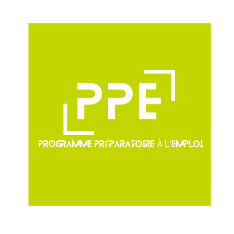 Besoin d'aide pour intégrer le marché du travail ? Le PPE est pour vous !